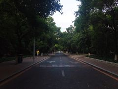 -吉林大学(南岭校区)