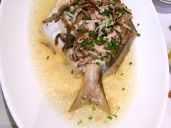 -老洋房花园饭店(绍兴路店)