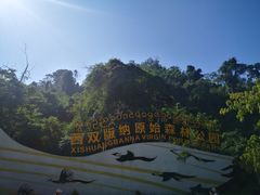 -西双版纳原始森林公园