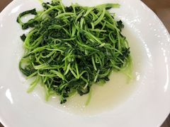 清炒鸡毛菜-白魁老号饭庄(交道口店)