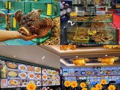 -有腥气私房菜·寻味顺德