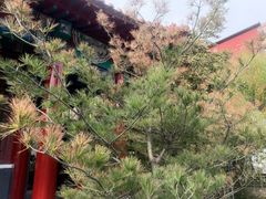 -碑林公园