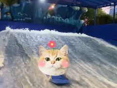 -杭州浪浪浪水公园