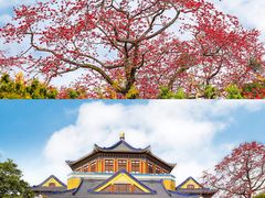 -广州中山纪念堂