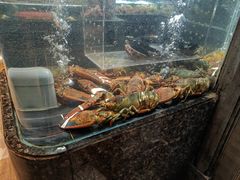-许家菜(望江店)