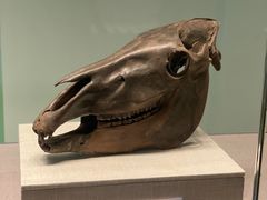 -珠海市博物馆