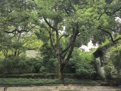 -无锡惠山寺