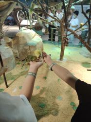 -酷嗒动物文化乐园(cutezoo西溪乐天城店)