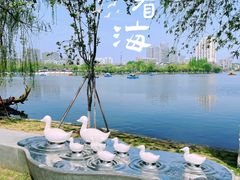 -莫愁湖公园