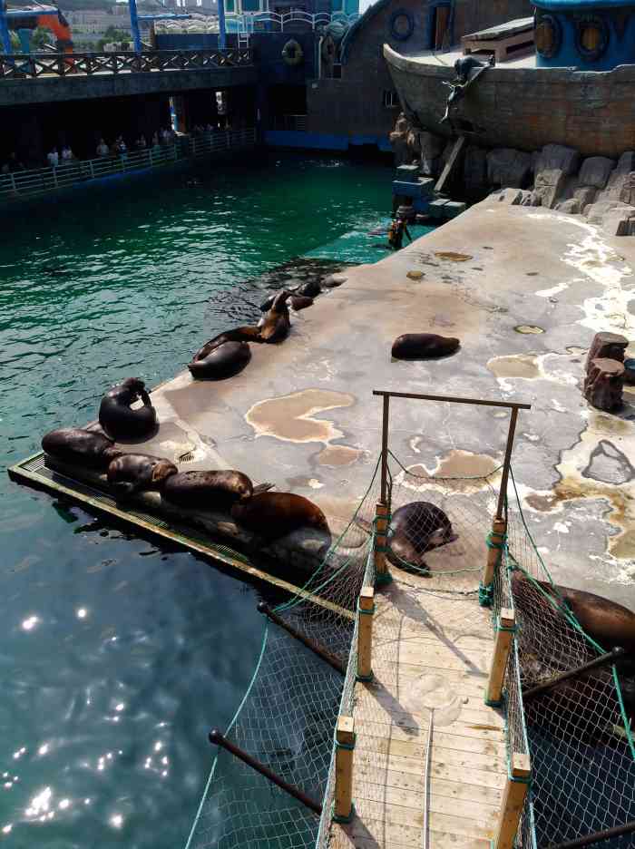 海兽馆-"#橙v达人pk# 第十二篇 海兽馆不大."-大众点评移动版