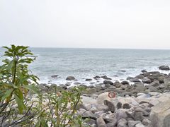 -广东惠东海龟国家级自然保护区