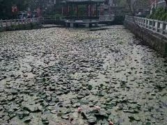 -黄埔古港