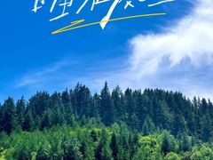-芦芽山旅游度假区