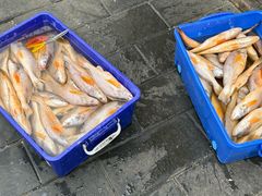 -聚首堂·特色小吃·肘子·炙子烤肉烤串(什刹海德胜门店)