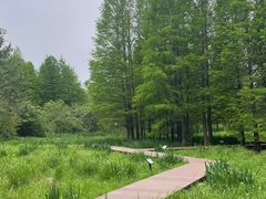 -溱湖国家湿地公园