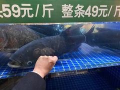 -好灶头妈妈菜·千岛湖柴火鱼餐厅(桐庐店)