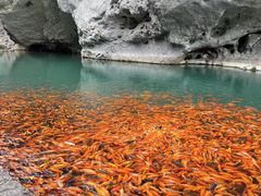 -楠溪江风景名胜区