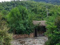 -看见远方·莫干遥远的山民宿