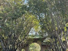 -仙岳公园