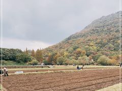 -八卦田遗址公园