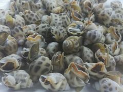 -巽寮印象美食部落餐厅·海鲜·地方特色菜(惠州体验店)