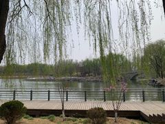 -大兴滨河森林公园