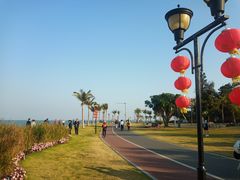 -野狸岛