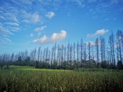 -前小桔亲子创意农场·草莓采摘·露营烧烤