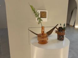 -VE专注问题肌·赛诺龙&科学美肤中心