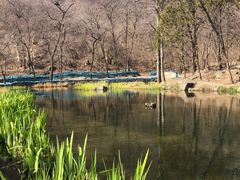 -白水寺森林公园