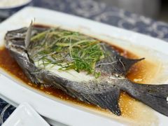 -波记美食店·现捞海鲜