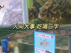 -范饭椰林川湘味海鲜·椰子鸡(三亚湾椰梦长廊店)