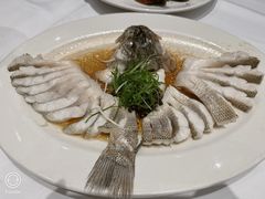 榄角肉崧蒸鲈鱼-稻香酒家·35年老字号(侨光店)