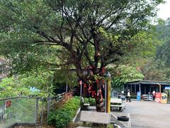 -邑家人·山水四合院