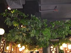 -仙踪林(江燕路万科里店)