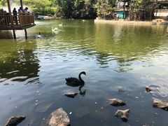 -深圳野生动物园