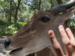 -北京野生动物园