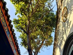 -吴祥记潮州菜·百年老字号·砂锅粥