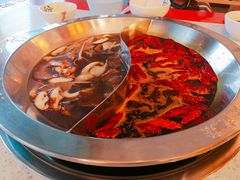 -DaLongYi Hotpot - 大龙燚火锅 - 地道四川老火锅