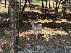 -秦皇岛野生动物园