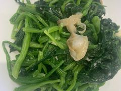 -紫光园·烤鸭·北京菜(劲松店)