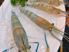 -财神鸡煲(华强北店)