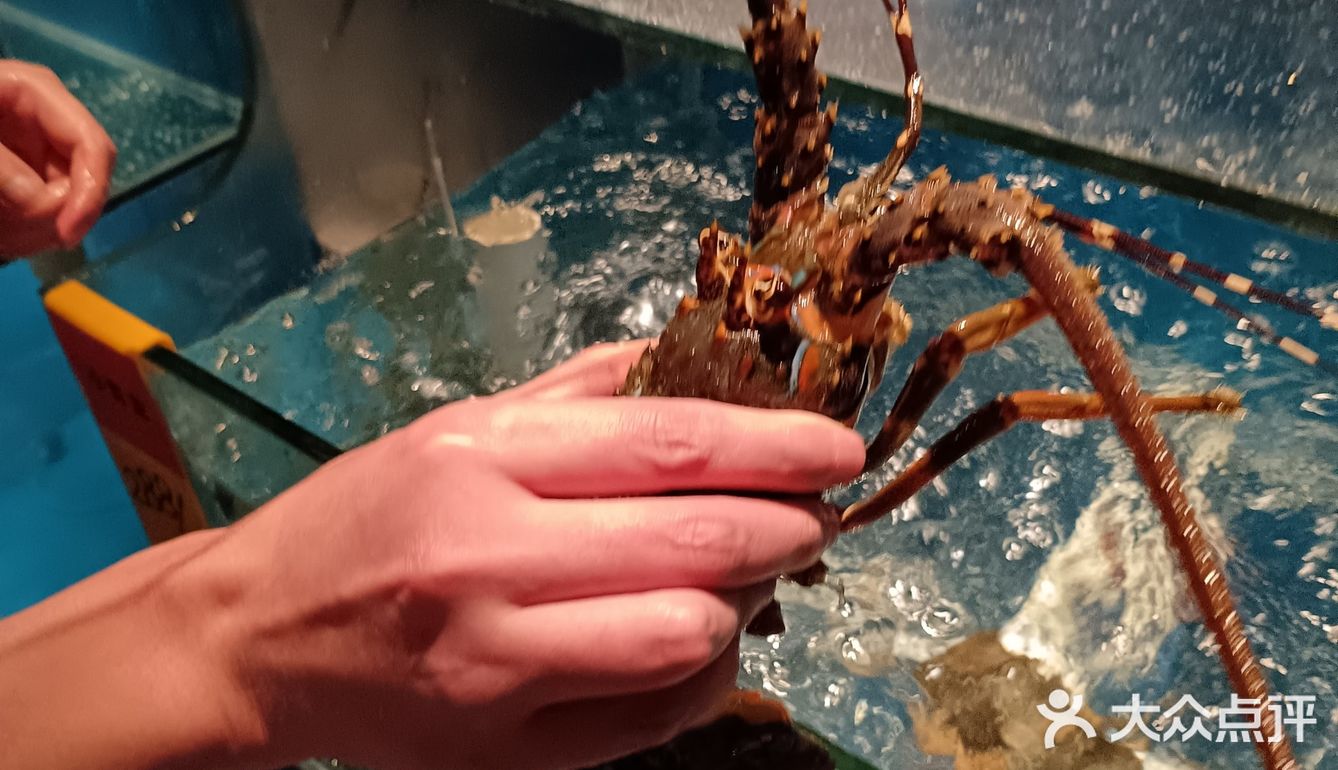 不一样的川味海鲜大排档，就在西丽