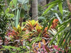 -北京植物园-展览温室