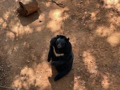 -昆明动物园