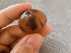-二斗栗子(西湖道店)
