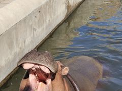 -哈尔滨北方森林动物园