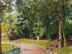 -广西壮族自治区药用植物园