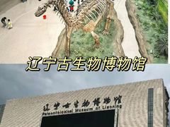 -沈阳森林动物园