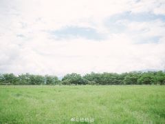-瑞穗牧场